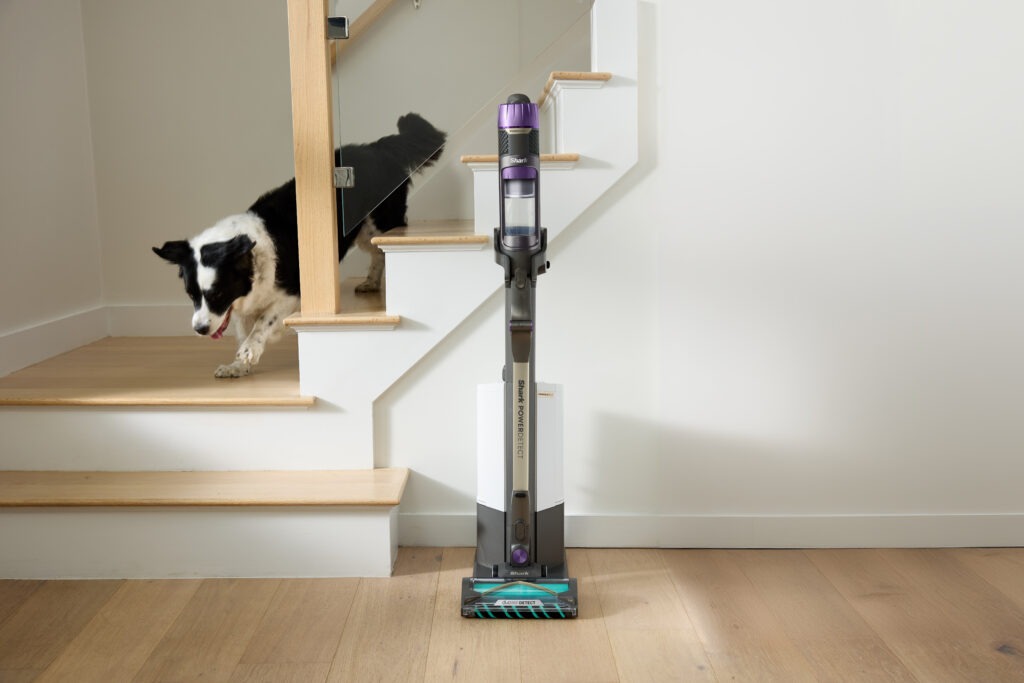 Shark-Akkustaubsauger vor einer Treppe mit zwei Hunden